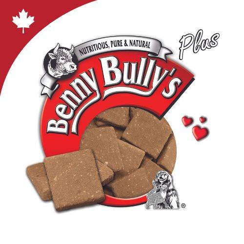 Benny Bully's