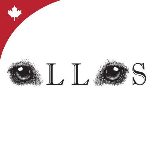 Ollos